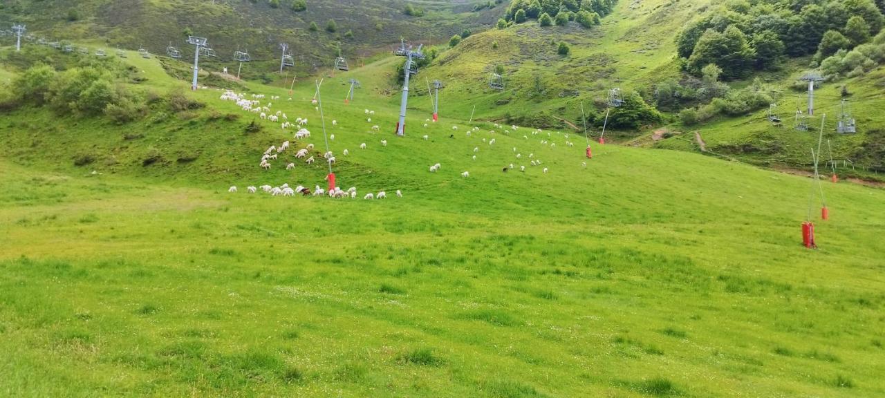 Pleine Nature Pied Pistes Piscine Chauffee Ustou المظهر الخارجي الصورة